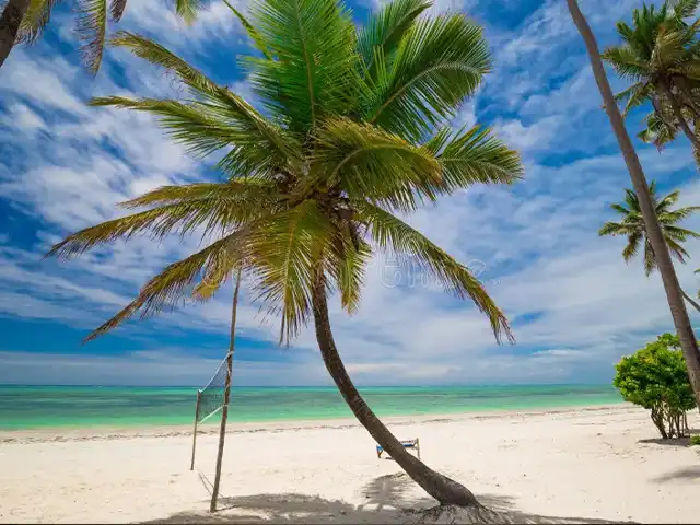 Zanzibar - Landscape