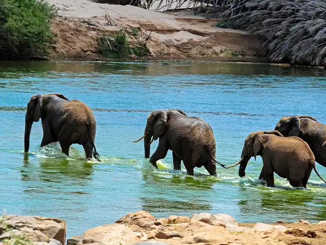 Zanzibar - Wildlife