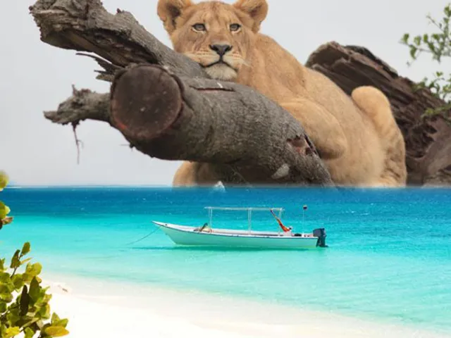 Zanzibar - Wildlife